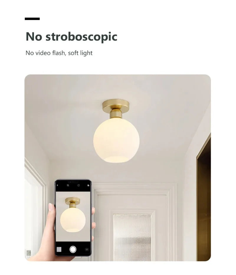 Ceiling Light Modern LED  Chandelier Lamp for Living Room Kitchen Bedroom Hallway Entryway Study Simple Lustre Indoor Lighting
