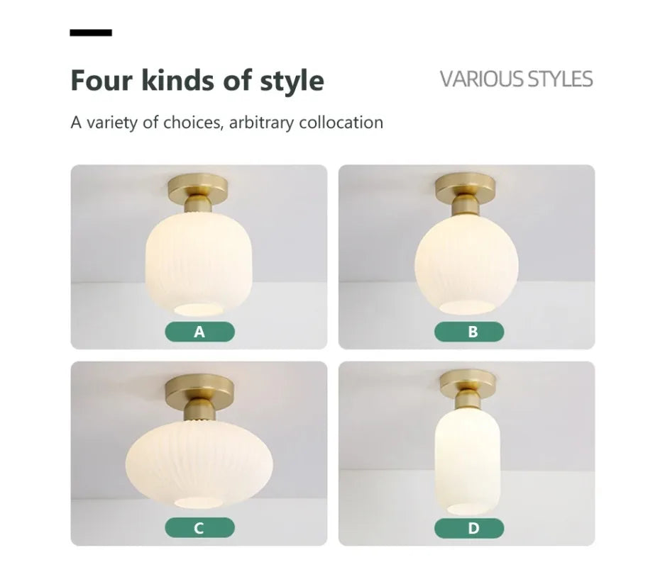 Ceiling Light Modern LED  Chandelier Lamp for Living Room Kitchen Bedroom Hallway Entryway Study Simple Lustre Indoor Lighting