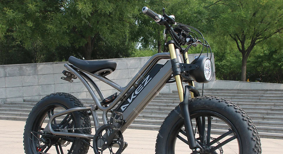 20 Inch Mountain electric bicycle For Mens Fat Tire Aluminium Alloy eBike 750W 48V Beach Snow eBikes For Adults Max Speed 45