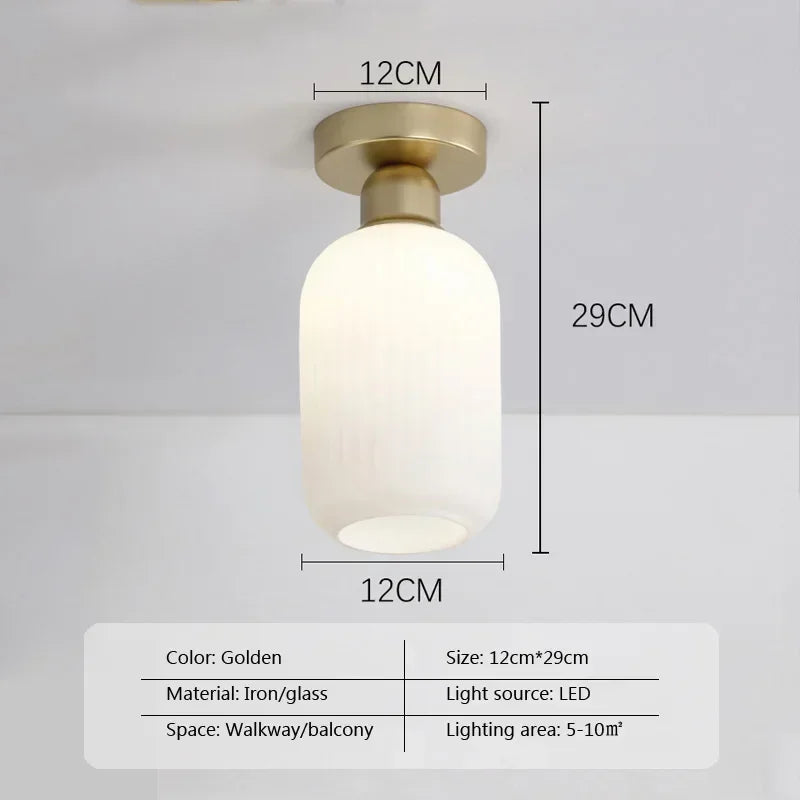 Ceiling Light Modern LED  Chandelier Lamp for Living Room Kitchen Bedroom Hallway Entryway Study Simple Lustre Indoor Lighting