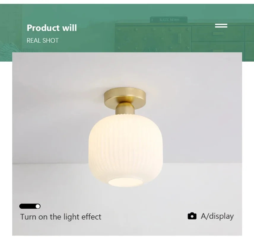 Ceiling Light Modern LED  Chandelier Lamp for Living Room Kitchen Bedroom Hallway Entryway Study Simple Lustre Indoor Lighting