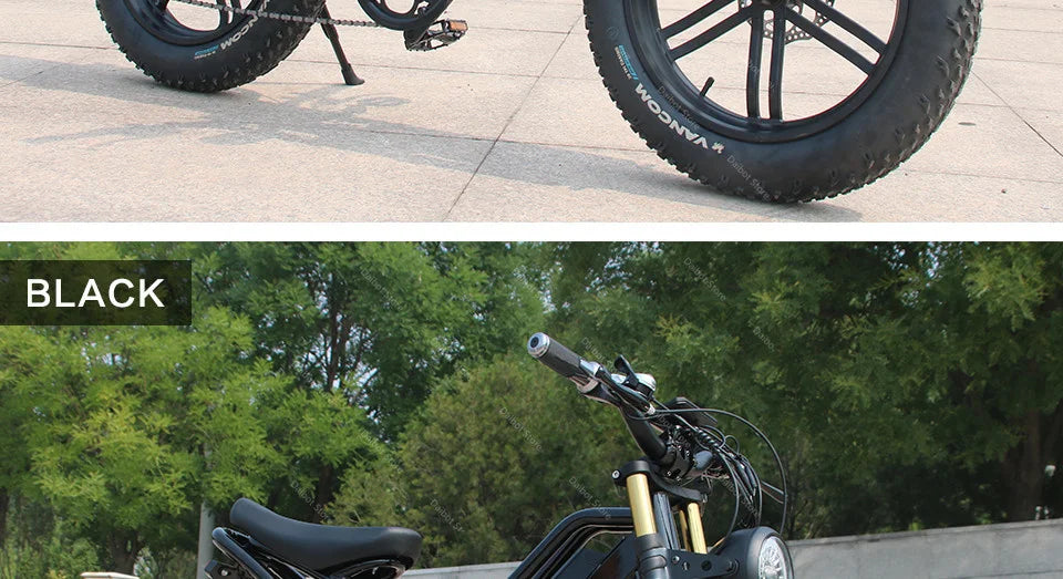 20 Inch Mountain electric bicycle For Mens Fat Tire Aluminium Alloy eBike 750W 48V Beach Snow eBikes For Adults Max Speed 45