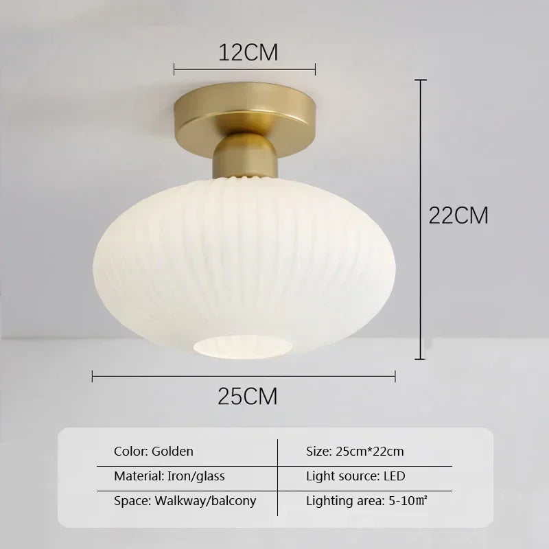 Ceiling Light Modern LED  Chandelier Lamp for Living Room Kitchen Bedroom Hallway Entryway Study Simple Lustre Indoor Lighting