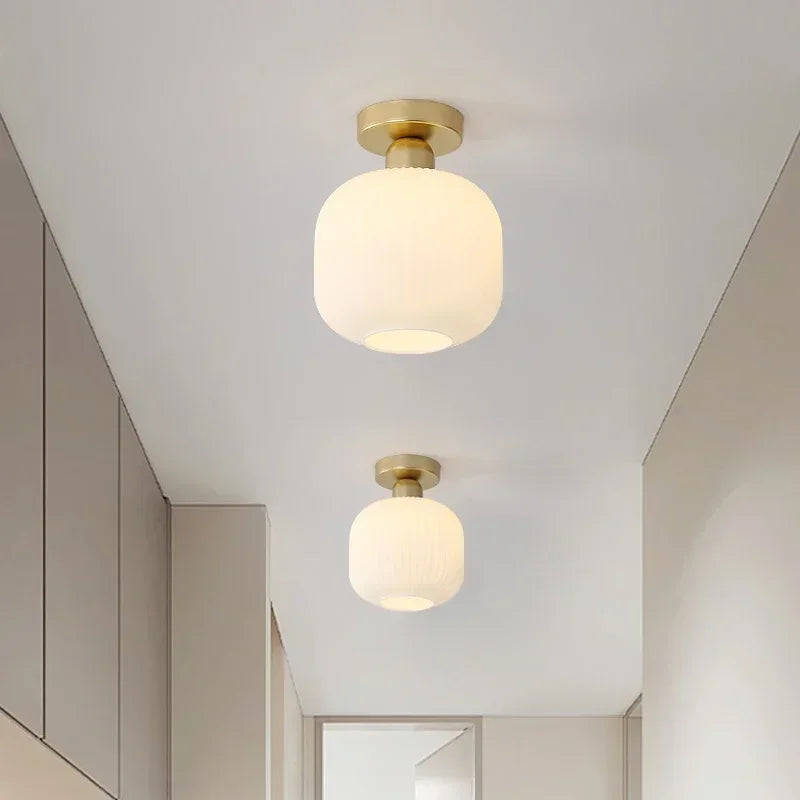 Ceiling Light Modern LED  Chandelier Lamp for Living Room Kitchen Bedroom Hallway Entryway Study Simple Lustre Indoor Lighting