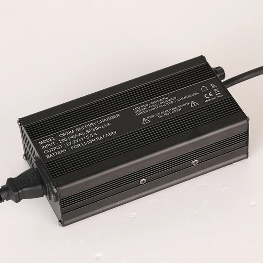 Customized Lifepo4 Battery Charger 48v Electric Bike Chargers