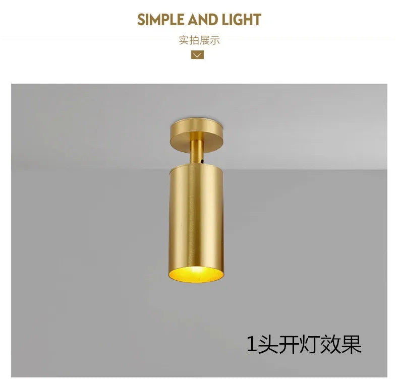Lighting for Living Room Modern Simple Led Spotlight Gold Track Spotlight Brass Cloakroom  Room Background Wall Ceiling Light