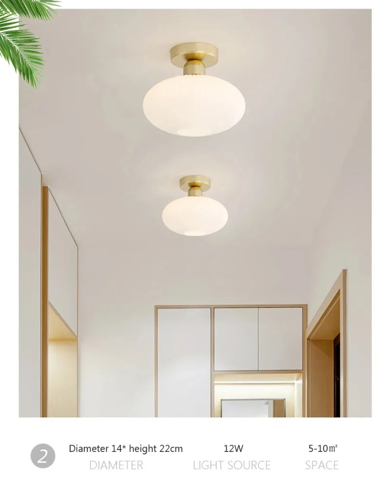 Ceiling Light Modern LED  Chandelier Lamp for Living Room Kitchen Bedroom Hallway Entryway Study Simple Lustre Indoor Lighting