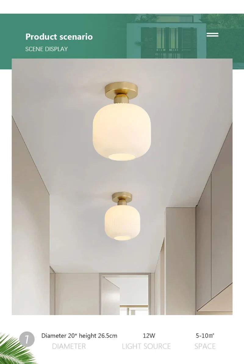 Ceiling Light Modern LED  Chandelier Lamp for Living Room Kitchen Bedroom Hallway Entryway Study Simple Lustre Indoor Lighting