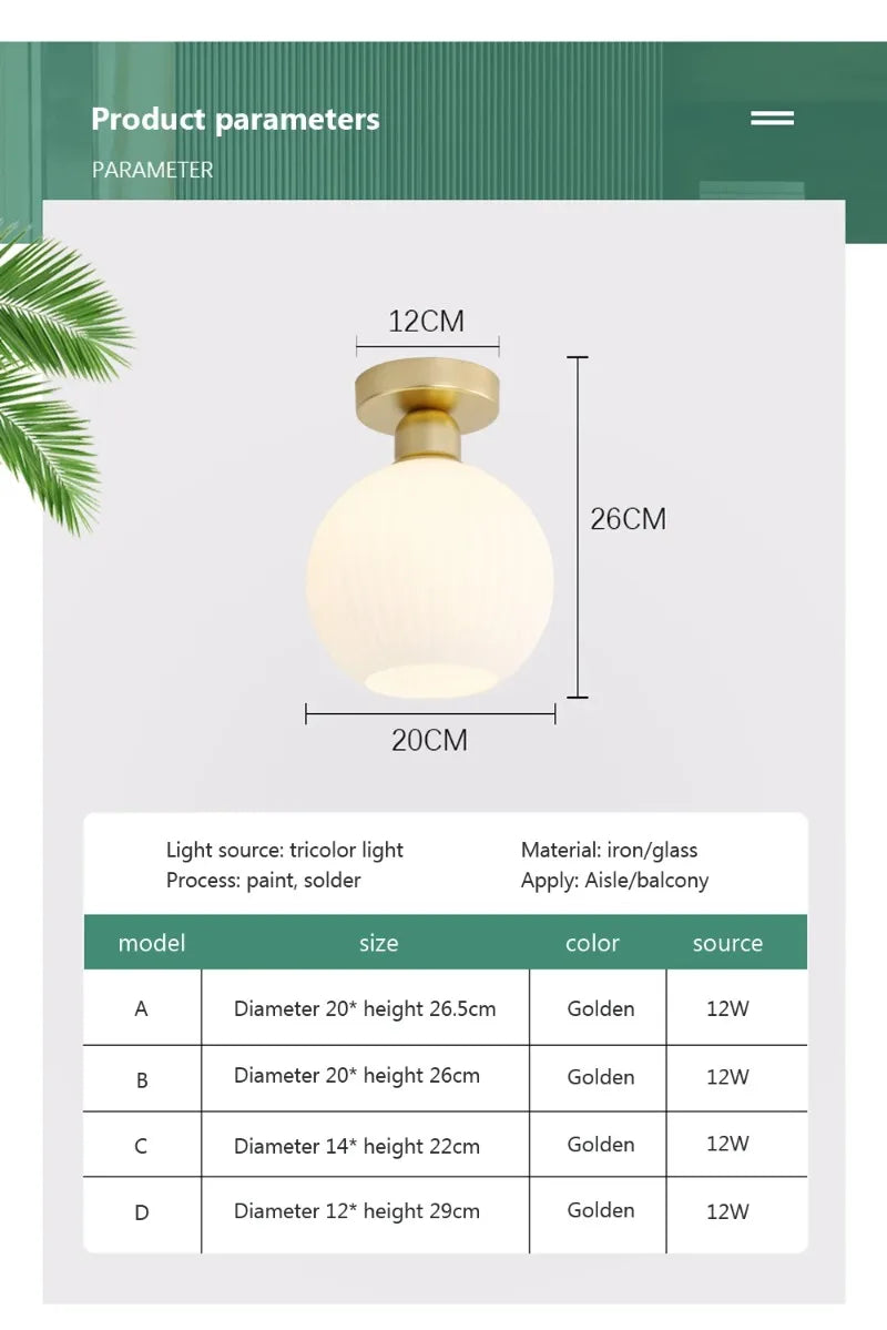 Ceiling Light Modern LED  Chandelier Lamp for Living Room Kitchen Bedroom Hallway Entryway Study Simple Lustre Indoor Lighting
