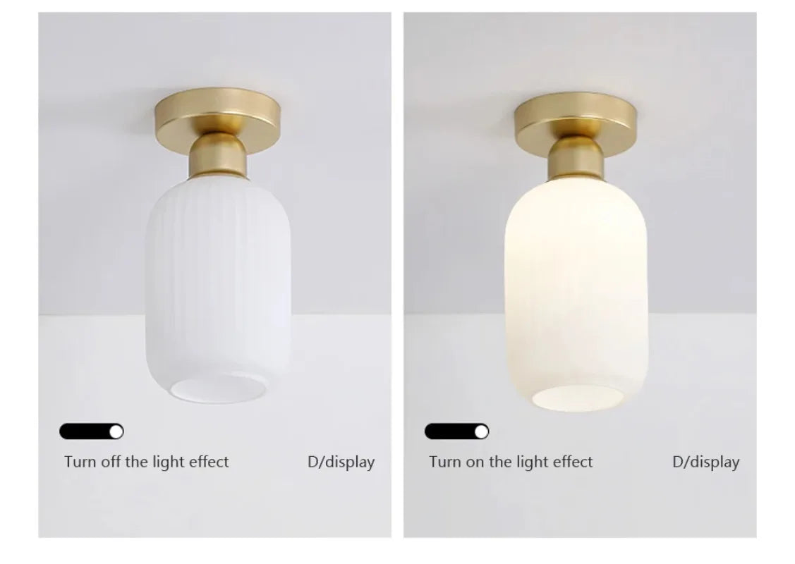 Ceiling Light Modern LED  Chandelier Lamp for Living Room Kitchen Bedroom Hallway Entryway Study Simple Lustre Indoor Lighting
