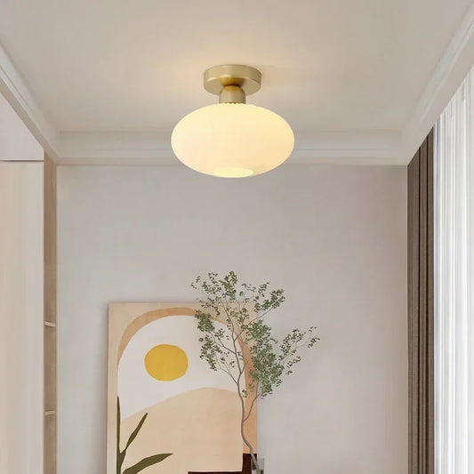 Ceiling Light Modern LED  Chandelier Lamp for Living Room Kitchen Bedroom Hallway Entryway Study Simple Lustre Indoor Lighting