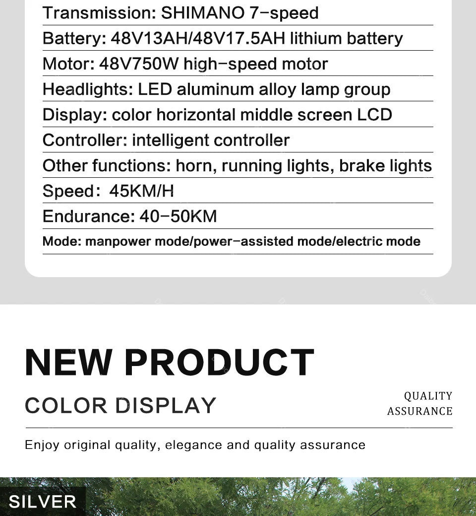 20 Inch Mountain electric bicycle For Mens Fat Tire Aluminium Alloy eBike 750W 48V Beach Snow eBikes For Adults Max Speed 45