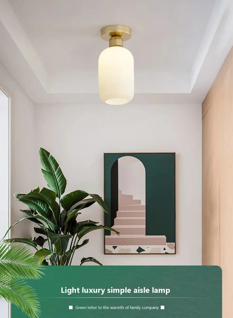 Ceiling Light Modern LED  Chandelier Lamp for Living Room Kitchen Bedroom Hallway Entryway Study Simple Lustre Indoor Lighting
