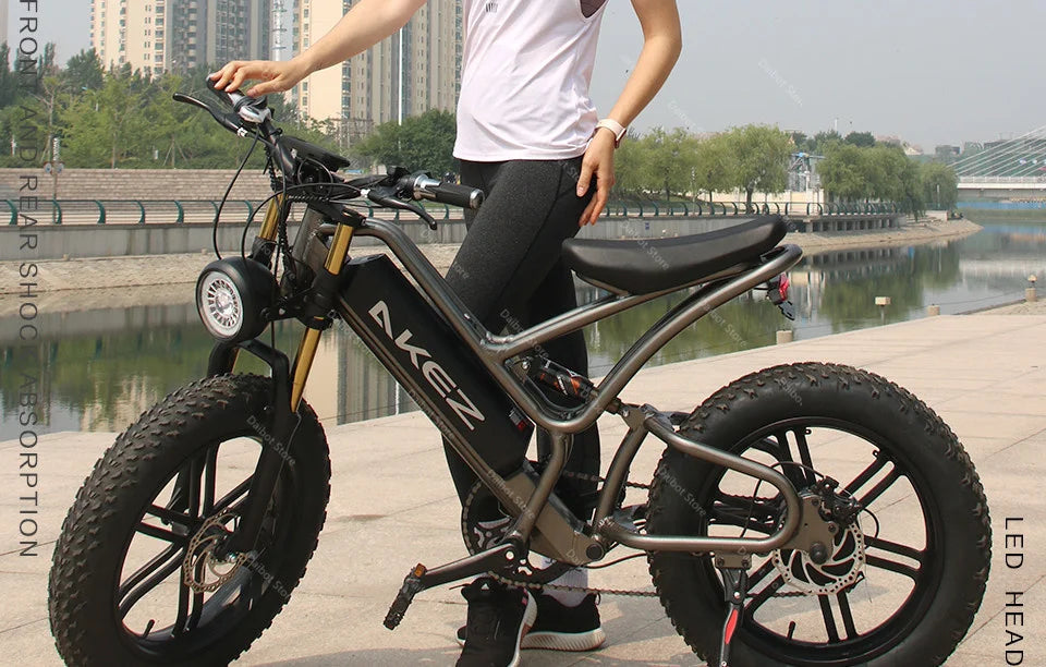20 Inch Mountain electric bicycle For Mens Fat Tire Aluminium Alloy eBike 750W 48V Beach Snow eBikes For Adults Max Speed 45