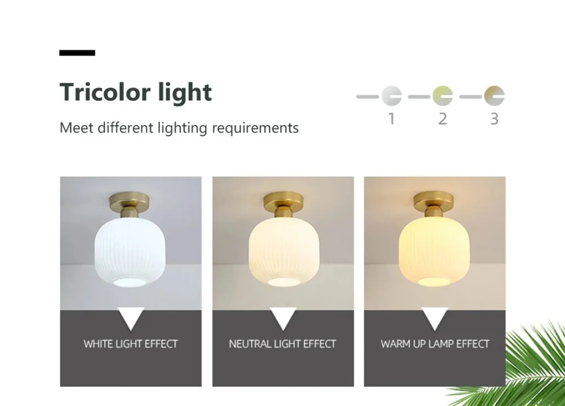 Ceiling Light Modern LED  Chandelier Lamp for Living Room Kitchen Bedroom Hallway Entryway Study Simple Lustre Indoor Lighting