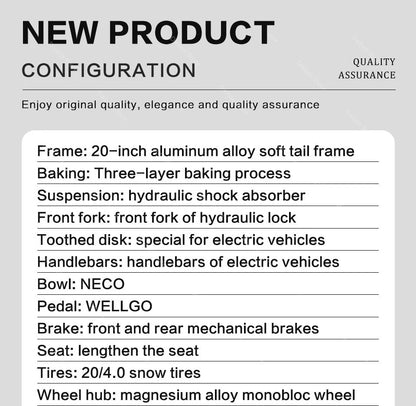 20 Inch Mountain electric bicycle For Mens Fat Tire Aluminium Alloy eBike 750W 48V Beach Snow eBikes For Adults Max Speed 45