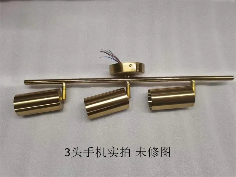Lighting for Living Room Modern Simple Led Spotlight Gold Track Spotlight Brass Cloakroom  Room Background Wall Ceiling Light