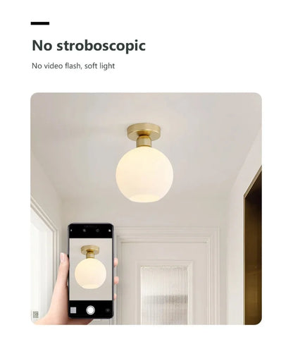 Ceiling Light Modern LED  Chandelier Lamp for Living Room Kitchen Bedroom Hallway Entryway Study Simple Lustre Indoor Lighting