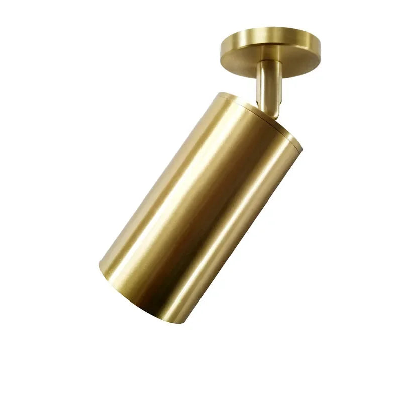 Lighting for Living Room Modern Simple Led Spotlight Gold Track Spotlight Brass Cloakroom  Room Background Wall Ceiling Light