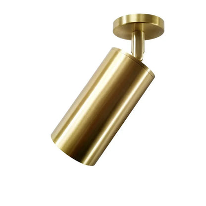 Lighting for Living Room Modern Simple Led Spotlight Gold Track Spotlight Brass Cloakroom  Room Background Wall Ceiling Light