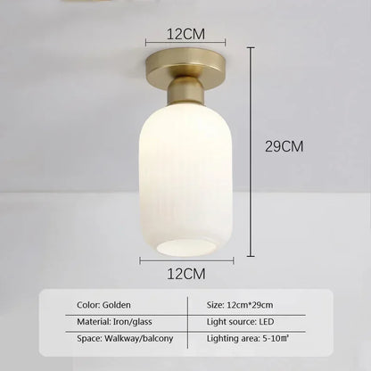 Ceiling Light Modern LED  Chandelier Lamp for Living Room Kitchen Bedroom Hallway Entryway Study Simple Lustre Indoor Lighting