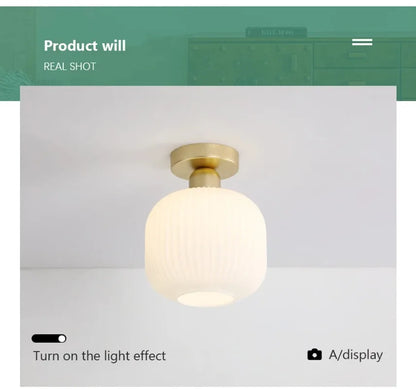 Ceiling Light Modern LED  Chandelier Lamp for Living Room Kitchen Bedroom Hallway Entryway Study Simple Lustre Indoor Lighting