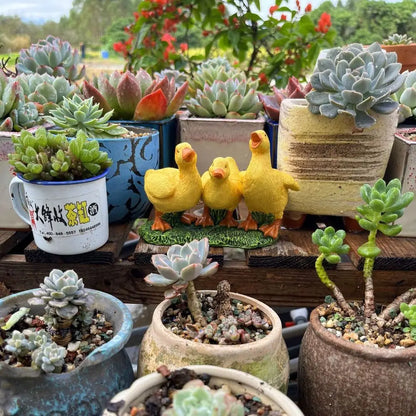 Garden Decor Resin Three Ducks Statue Cartoon Decorative Ducks Sculpture Cute Desktop Ornament Living Room