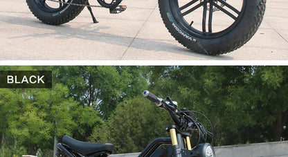 20 Inch Mountain electric bicycle For Mens Fat Tire Aluminium Alloy eBike 750W 48V Beach Snow eBikes For Adults Max Speed 45