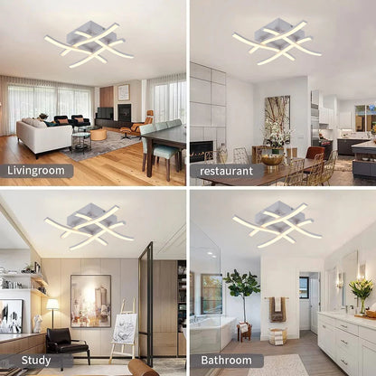 Modern Living Room Light  Restaurant 3-color Variable Light Bedroom Balcony LED Ceiling Light 24W Curved Design