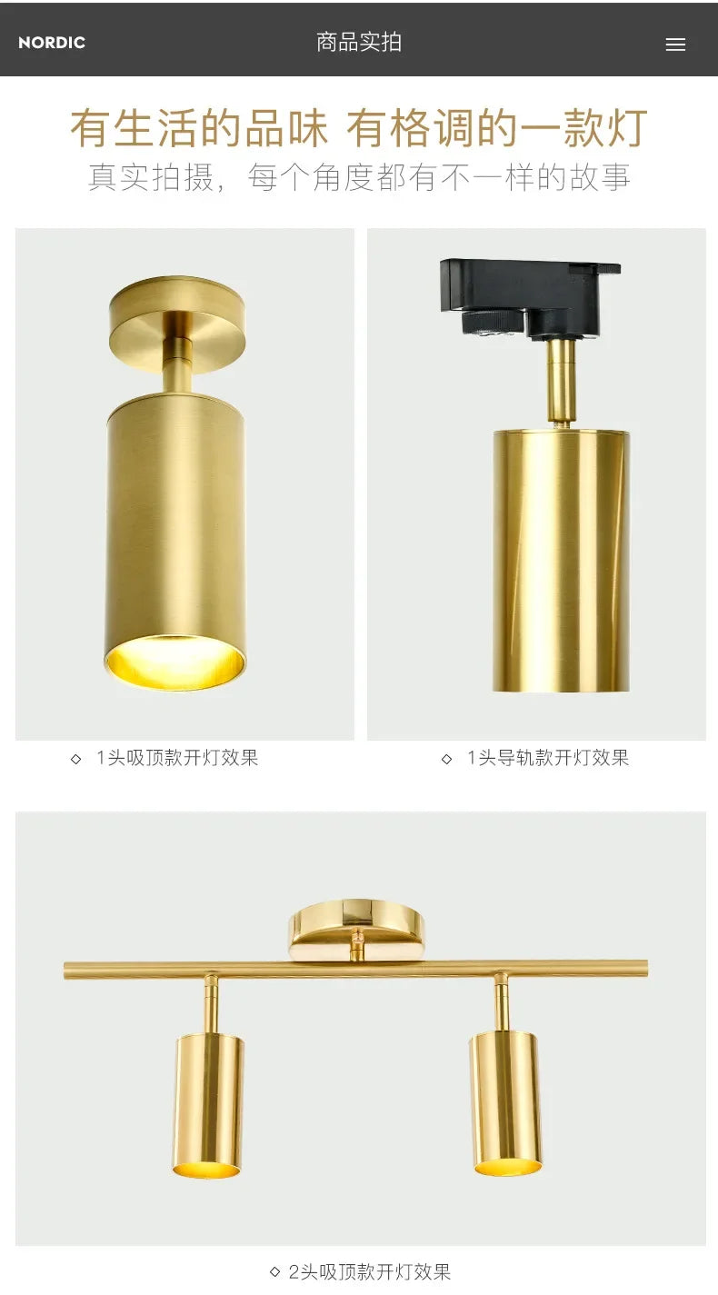 Lighting for Living Room Modern Simple Led Spotlight Gold Track Spotlight Brass Cloakroom  Room Background Wall Ceiling Light