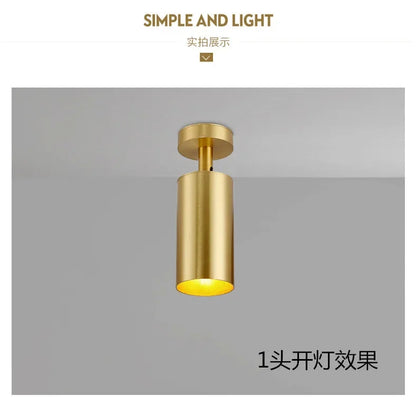 Lighting for Living Room Modern Simple Led Spotlight Gold Track Spotlight Brass Cloakroom  Room Background Wall Ceiling Light