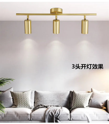 Lighting for Living Room Modern Simple Led Spotlight Gold Track Spotlight Brass Cloakroom  Room Background Wall Ceiling Light