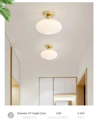 Ceiling Light Modern LED  Chandelier Lamp for Living Room Kitchen Bedroom Hallway Entryway Study Simple Lustre Indoor Lighting