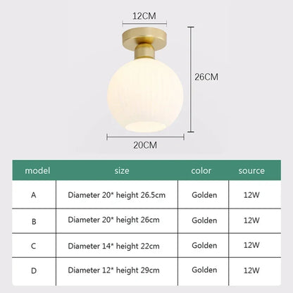 Ceiling Light Modern LED  Chandelier Lamp for Living Room Kitchen Bedroom Hallway Entryway Study Simple Lustre Indoor Lighting