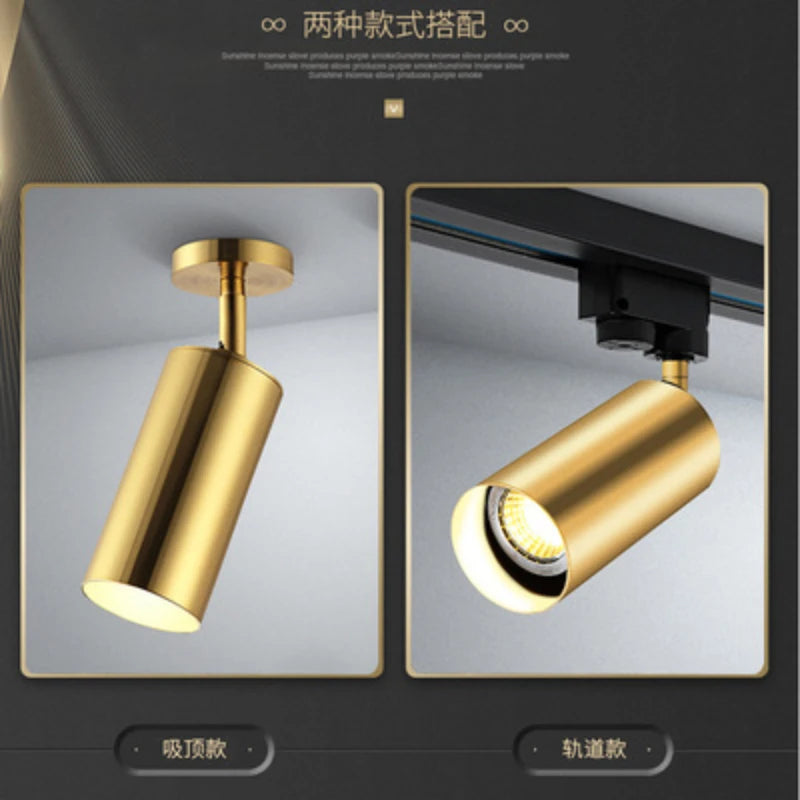 Lighting for Living Room Modern Simple Led Spotlight Gold Track Spotlight Brass Cloakroom  Room Background Wall Ceiling Light