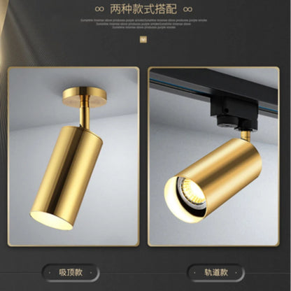 Lighting for Living Room Modern Simple Led Spotlight Gold Track Spotlight Brass Cloakroom  Room Background Wall Ceiling Light