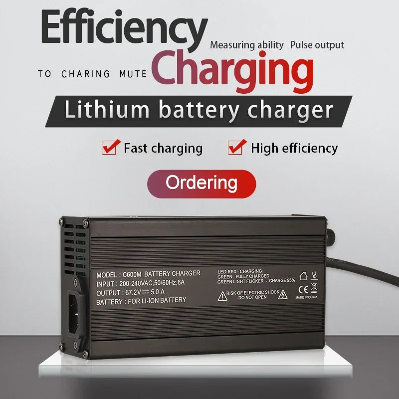 Customized Lifepo4 Battery Charger 48v Electric Bike Chargers