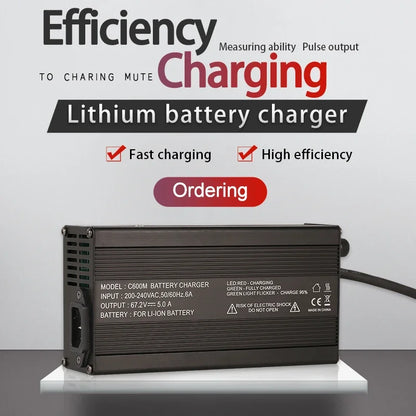 Customized Lifepo4 Battery Charger 48v Electric Bike Chargers