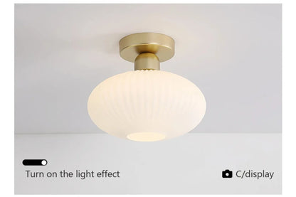Ceiling Light Modern LED  Chandelier Lamp for Living Room Kitchen Bedroom Hallway Entryway Study Simple Lustre Indoor Lighting