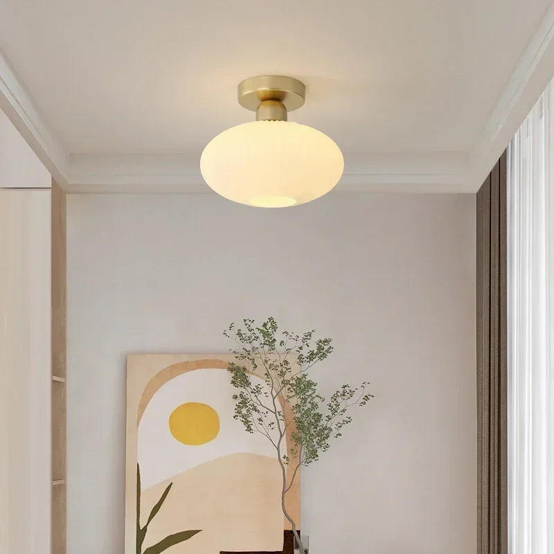 Ceiling Light Modern LED  Chandelier Lamp for Living Room Kitchen Bedroom Hallway Entryway Study Simple Lustre Indoor Lighting