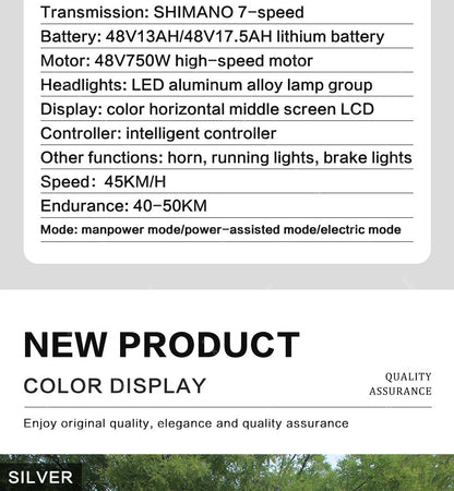 20 Inch Mountain electric bicycle For Mens Fat Tire Aluminium Alloy eBike 750W 48V Beach Snow eBikes For Adults Max Speed 45
