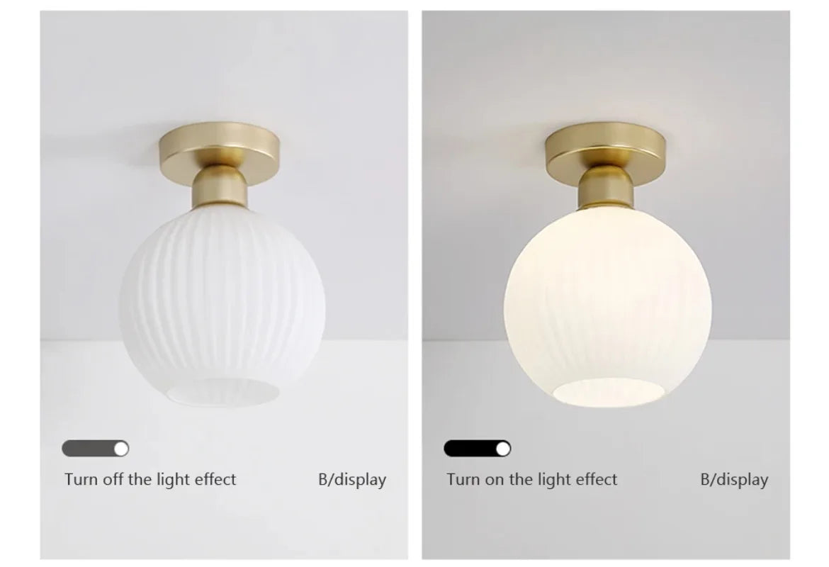 Ceiling Light Modern LED  Chandelier Lamp for Living Room Kitchen Bedroom Hallway Entryway Study Simple Lustre Indoor Lighting