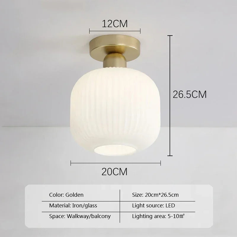 Ceiling Light Modern LED  Chandelier Lamp for Living Room Kitchen Bedroom Hallway Entryway Study Simple Lustre Indoor Lighting