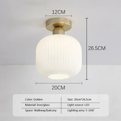 Ceiling Light Modern LED  Chandelier Lamp for Living Room Kitchen Bedroom Hallway Entryway Study Simple Lustre Indoor Lighting